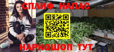 ГАЛЛЮЦИНОГЕННЫЕ ГРИБЫ Малоярославец