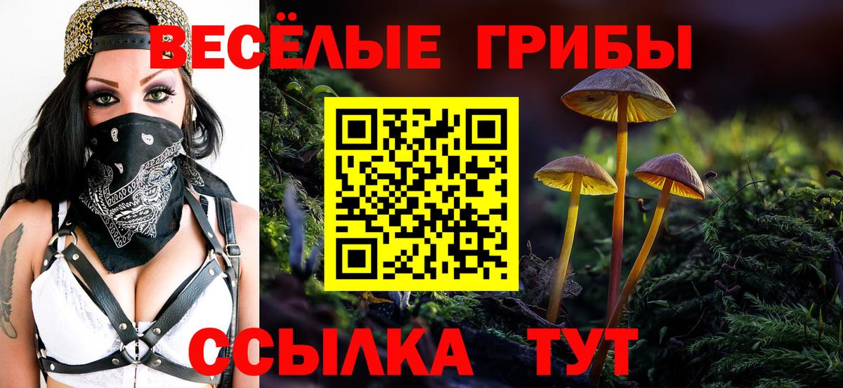 Урюпинск  Галлюциногенные грибы мухоморы  Вход с VPN 